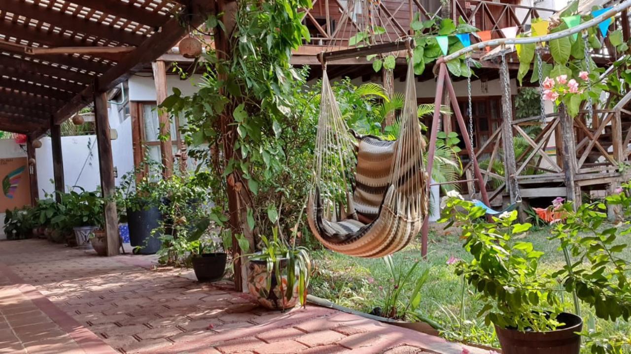 Cabanas Colibri Bacalar Exteriör bild