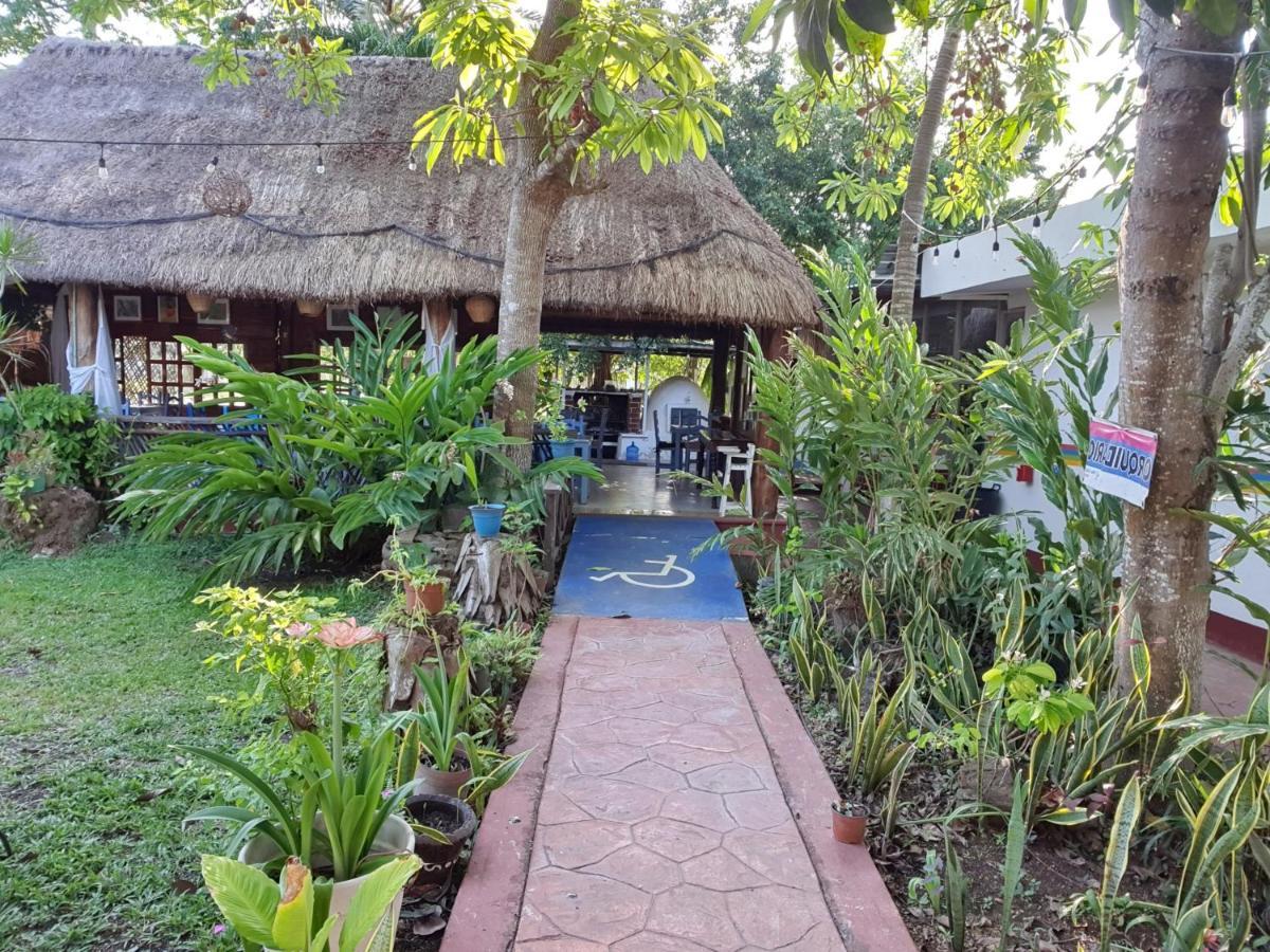 Cabanas Colibri Bacalar Exteriör bild