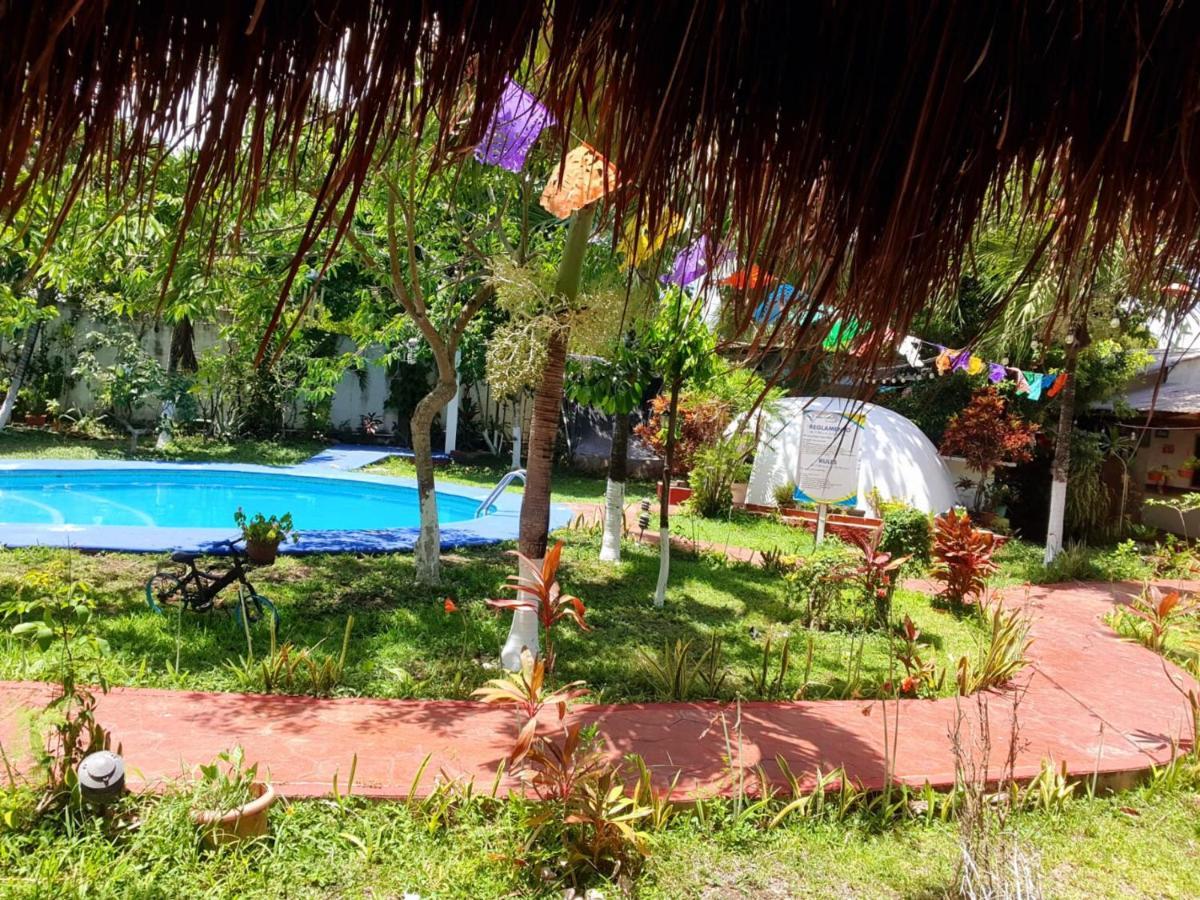 Cabanas Colibri Bacalar Exteriör bild