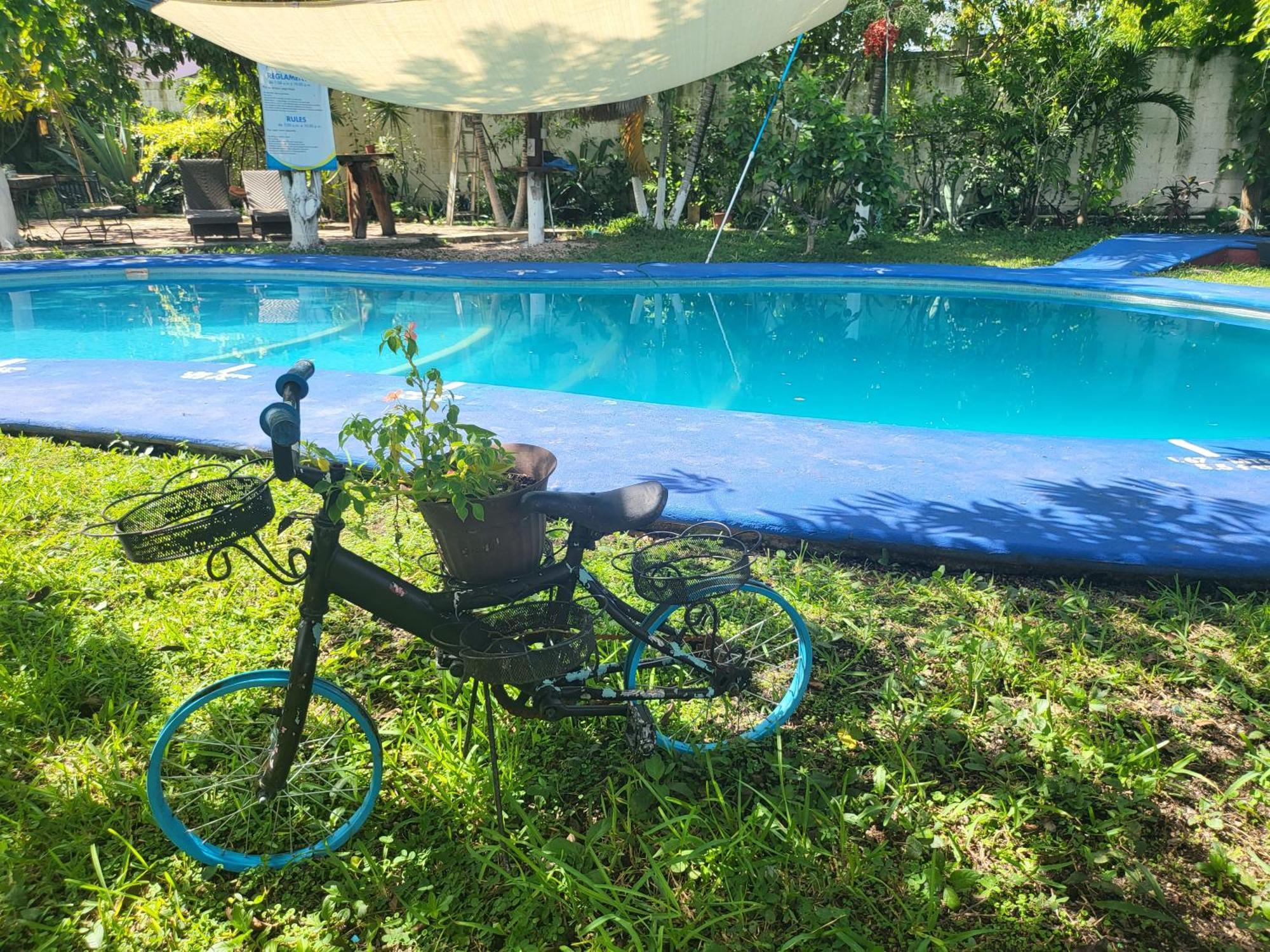 Cabanas Colibri Bacalar Exteriör bild
